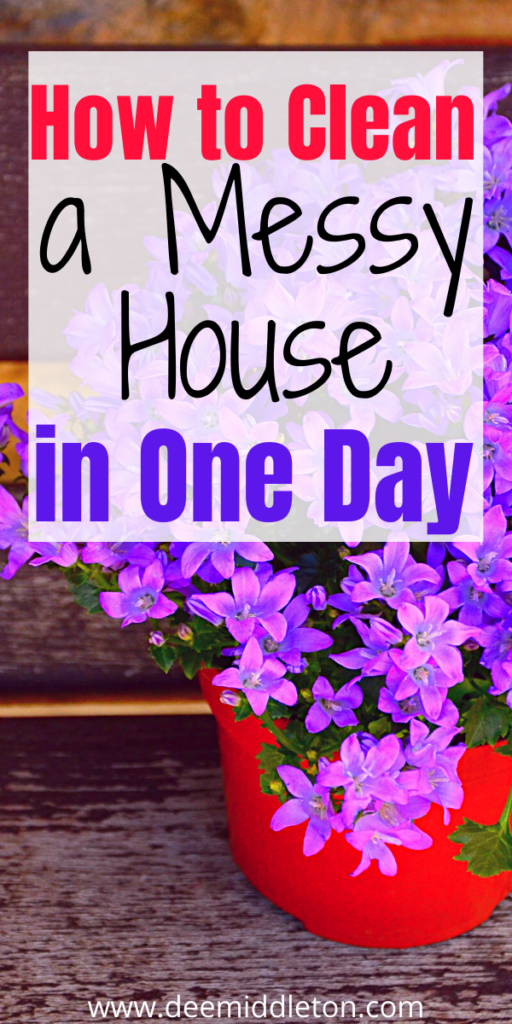 How to Clean a Messy House in One Day