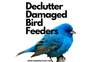Declutter Damaged Bird Feeders