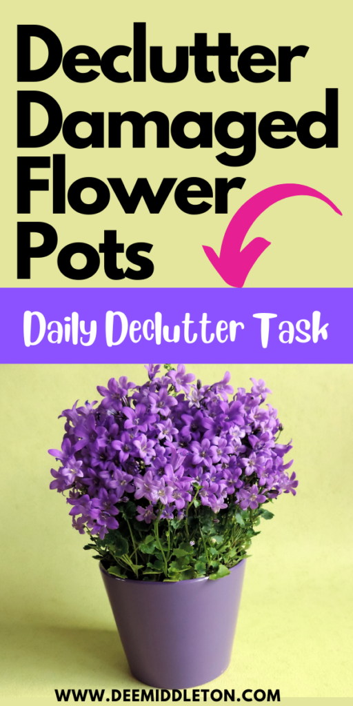 Declutter Damaged Flower Pots