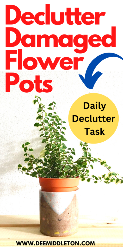Declutter Damaged Flower Pots