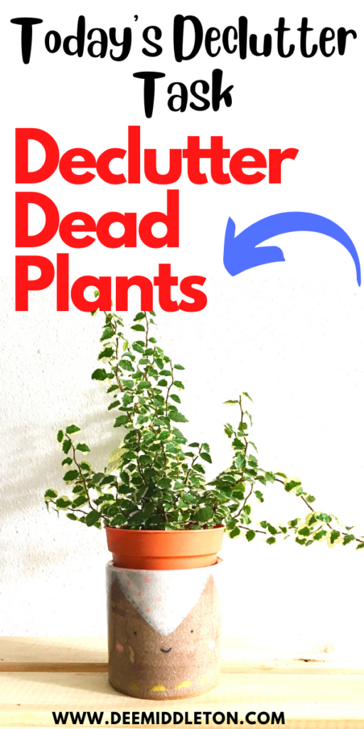 Declutter Dead Plants