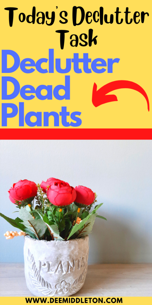 Declutter Dead Plants