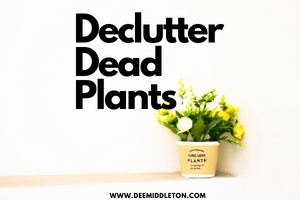 Declutter Dead Plants
