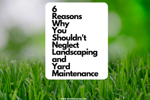 6 Reasons Why You Shouldn't Neglect Landscaping and Yard Maintenance