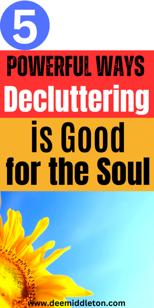 Decluttering is Good for the Soul - Simple ApartmentsDeclutter ChecklistDecluttering InspirationDeclutter HomeClever OrganizerApartment OrganizationDeclutter Your LifeClutter OrganizationOrganize Declutter