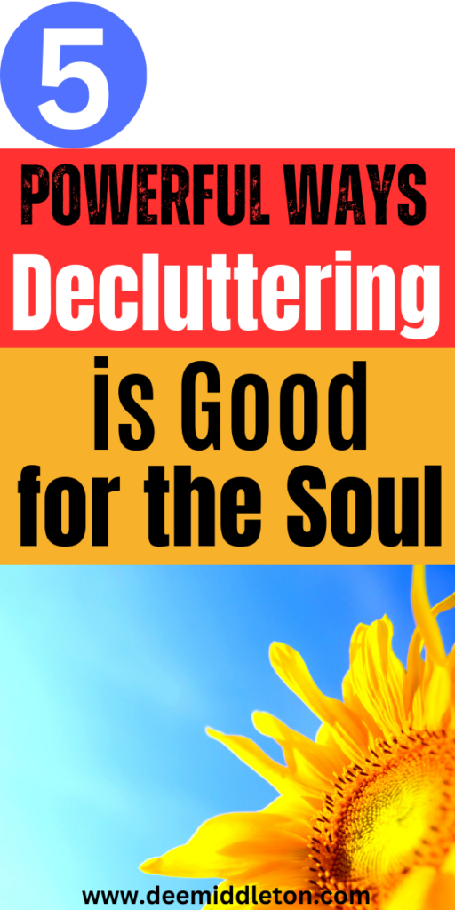 Decluttering is Good for the Soul - Simple ApartmentsDeclutter ChecklistDecluttering InspirationDeclutter HomeClever OrganizerApartment OrganizationDeclutter Your LifeClutter OrganizationOrganize Declutter