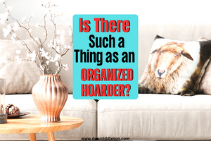 Is There Such a Thing as an Organized Hoarder?