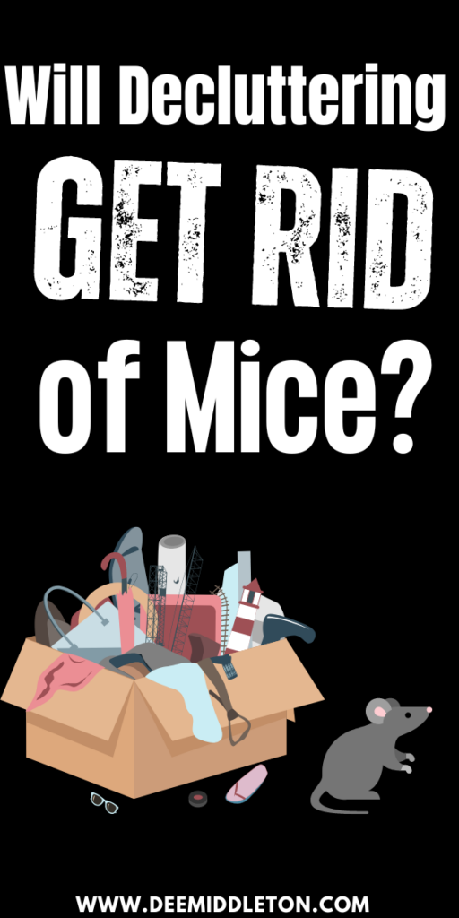 Will Decluttering Get Rid of Mice?
