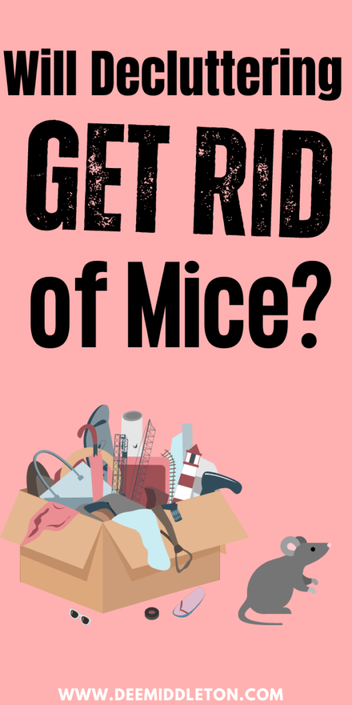 Will Decluttering Get Rid of Mice?