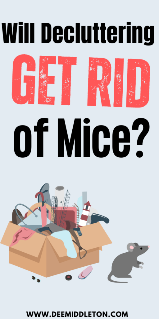 Will Decluttering Get Rid of Mice?