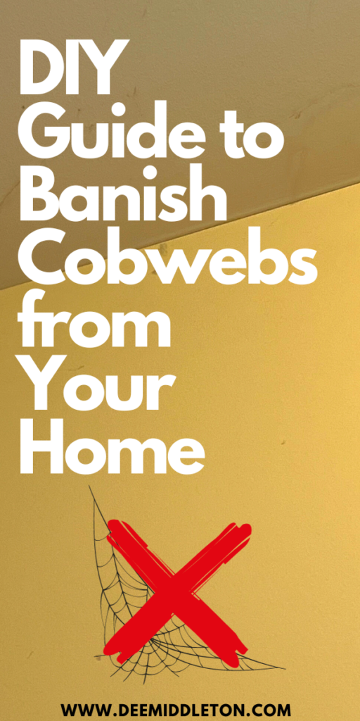 DIY Guide to Banish Cobwebs from Your Home