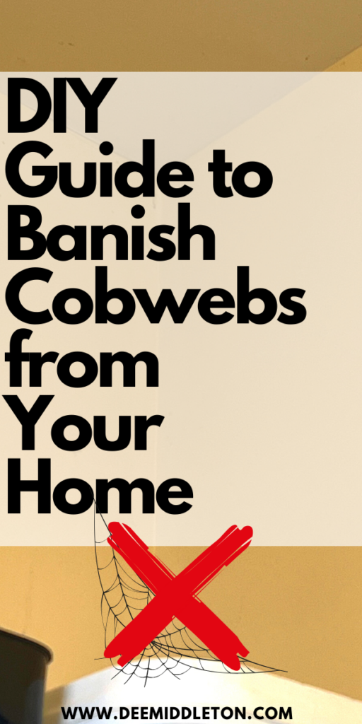 DIY Guide to Banish Cobwebs from Your Home