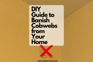 DIY Guide to Banish Cobwebs from Your Home
