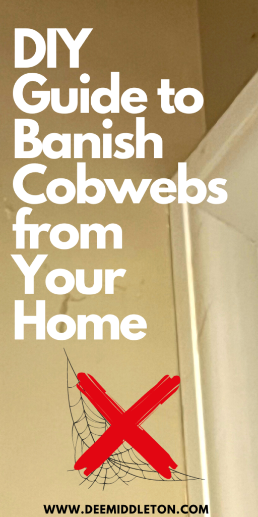 DIY Guide to Banish Cobwebs from Your Home