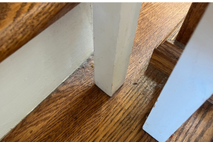What Causes Dust in the Home and How do I Minimize It?