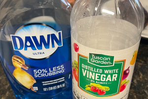 How to Clean an Induction Cooktop