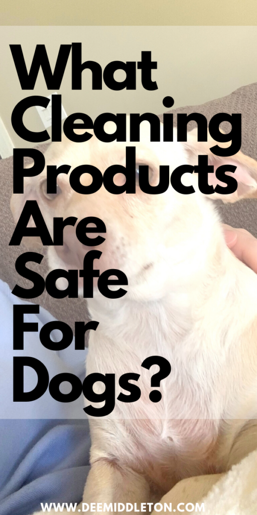 What Cleaning Products are Safe for Dogs? - pet safe cleaningpet safe cleanersDiy Pet CleanerDiy Pet SprayPet Safe Cleaner DiyDiy Pet Friendly Floor CleanerPet Safe Floor Cleaner DiyPet Friendly Floor CleanerDiy Fabric Refresher Spray Pet SafePet Friendly Cleaning ProductsPet Safe Cleaning Products
