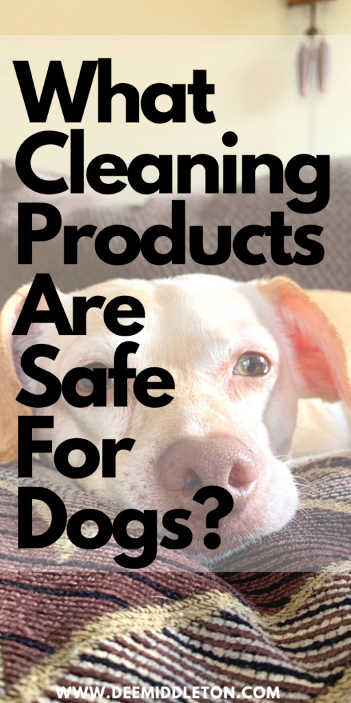 What Cleaning Products are Safe for Dogs? - pet safe cleaningpet safe cleanersDiy Pet CleanerDiy Pet SprayPet Safe Cleaner DiyDiy Pet Friendly Floor CleanerPet Safe Floor Cleaner DiyPet Friendly Floor CleanerDiy Fabric Refresher Spray Pet SafePet Friendly Cleaning ProductsPet Safe Cleaning Products