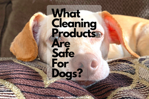What Cleaning Products are Safe for Dogs? - pet safe cleaningpet safe cleanersDiy Pet CleanerDiy Pet SprayPet Safe Cleaner DiyDiy Pet Friendly Floor CleanerPet Safe Floor Cleaner DiyPet Friendly Floor CleanerDiy Fabric Refresher Spray Pet SafePet Friendly Cleaning ProductsPet Safe Cleaning Products