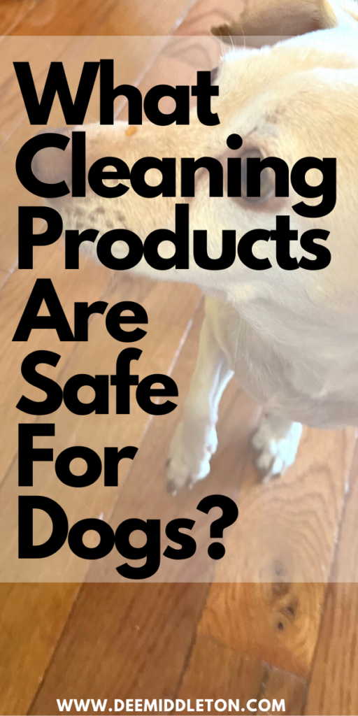 What Cleaning Products are Safe for Dogs? - pet safe cleaningpet safe cleanersDiy Pet CleanerDiy Pet SprayPet Safe Cleaner DiyDiy Pet Friendly Floor CleanerPet Safe Floor Cleaner DiyPet Friendly Floor CleanerDiy Fabric Refresher Spray Pet SafePet Friendly Cleaning ProductsPet Safe Cleaning Products