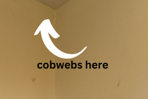 DIY Guide to Banish Cobwebs from Your Home