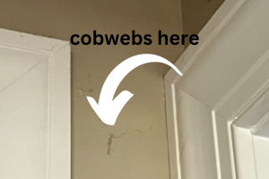 DIY Guide to Banish Cobwebs from Your Home