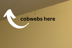 DIY Guide to Banish Cobwebs from Your Home