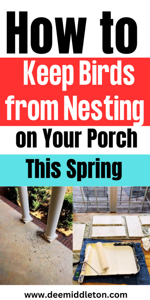 How to Keep Birds from Nesting on Your Porch This Spring - Bird Repellent IdeasBird Deterrent Ideas DiyDiy Bird DeterrentDeck GardensBird DeterrentsPest RepellentBird ControlBird RepellentsBird Barn