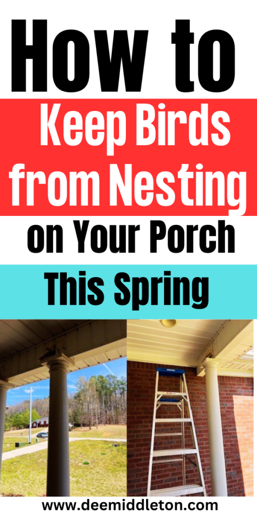 How to Keep Birds from Nesting on Your Porch This Spring - Bird Repellent IdeasBird Deterrent Ideas DiyDiy Bird DeterrentDeck GardensBird DeterrentsPest RepellentBird ControlBird RepellentsBird Barn