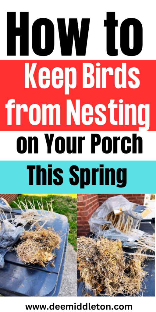 How to Keep Birds from Nesting on Your Porch This Spring - Bird Repellent IdeasBird Deterrent Ideas DiyDiy Bird DeterrentDeck GardensBird DeterrentsPest RepellentBird ControlBird RepellentsBird Barn
