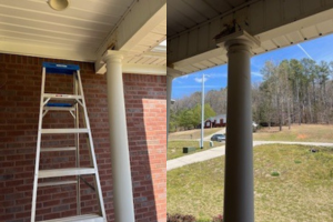 How to Keep Birds from Nesting on Your Porch This Spring - Bird Repellent IdeasBird Deterrent Ideas DiyDiy Bird DeterrentDeck GardensBird DeterrentsPest RepellentBird ControlBird RepellentsBird Barn