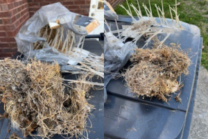 How to Keep Birds from Nesting on Your Porch This Spring - Bird Repellent IdeasBird Deterrent Ideas DiyDiy Bird DeterrentDeck GardensBird DeterrentsPest RepellentBird ControlBird RepellentsBird Barn