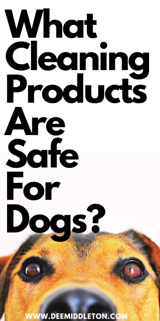 What Cleaning Products are Safe for Dogs? - pet safe cleaningpet safe cleanersDiy Pet CleanerDiy Pet SprayPet Safe Cleaner DiyDiy Pet Friendly Floor CleanerPet Safe Floor Cleaner DiyPet Friendly Floor CleanerDiy Fabric Refresher Spray Pet SafePet Friendly Cleaning ProductsPet Safe Cleaning Products