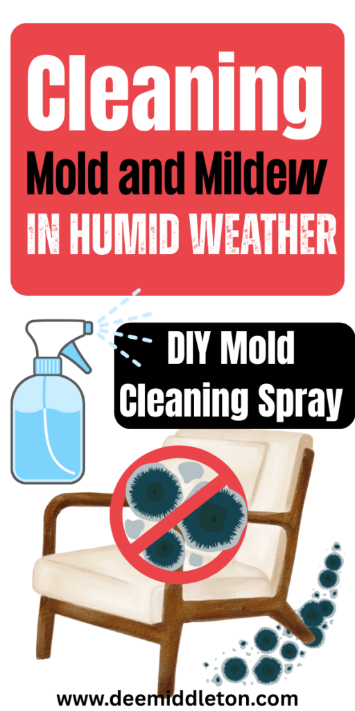 Cleaning Mold and Mildew in Humid Weather - Mold On ClothesMold on Patio FurnitureFresh ClothesTropical LivingLong Term StorageHumid WeatherWardrobe PlanningMold GrowthTropical ClimateCloset Space