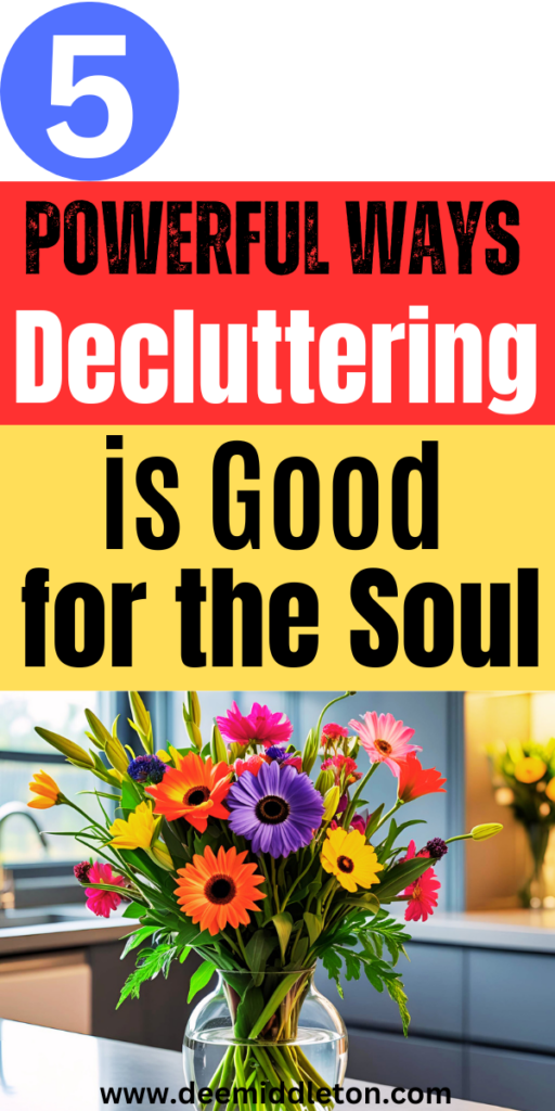 Decluttering is Good for the Soul - Simple ApartmentsDeclutter ChecklistDecluttering InspirationDeclutter HomeClever OrganizerApartment OrganizationDeclutter Your LifeClutter OrganizationOrganize Declutter