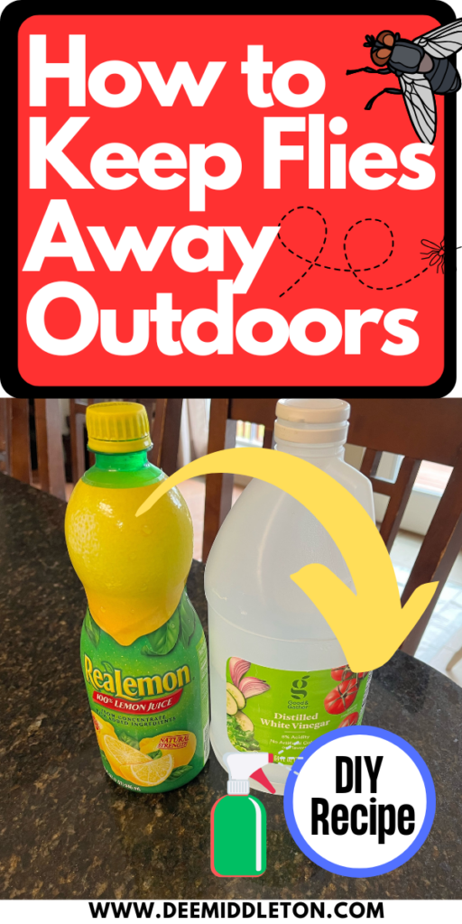 How To Get Rid Of Flies Outside NaturallyHow To Keep Flies Off Food OutsideNatural Ways To Get Rid Of FliesHow To Get Rid Of Flies Outside PatioControlling Flies In The Chicken CoopFly Repellant DiyFly RemediesBest Fly TrapDiy Flies Repellent