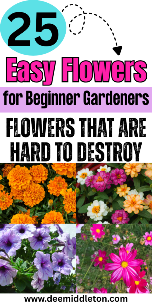 25 Easy Flowers for Beginner Gardeners - Flowers That Grow Well Easy Flowers To PlantSimple Flower Garden IdeasFlowers To Plant In GardenFlower Gardens For Beginners LandscapingFlowers For Beginners GardeningFlowers To Plant TogetherFlowers To Start IndoorsAt Home Flower Garden