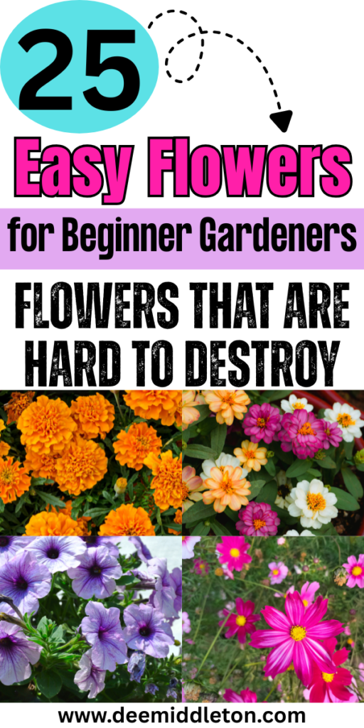 25 Easy Flowers for Beginner Gardeners - Flowers That Grow Well Easy Flowers To PlantSimple Flower Garden IdeasFlowers To Plant In GardenFlower Gardens For Beginners LandscapingFlowers For Beginners GardeningFlowers To Plant TogetherFlowers To Start IndoorsAt Home Flower Garden