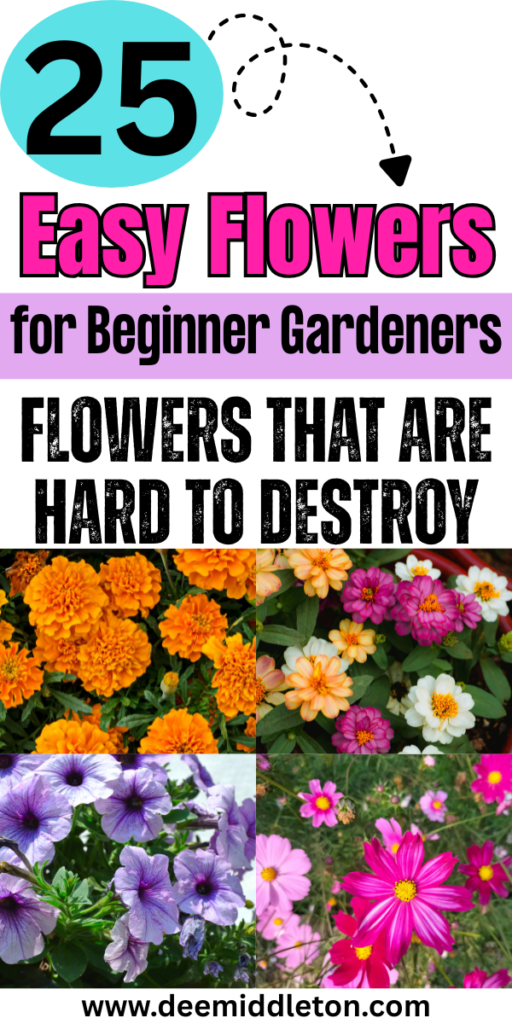 25 Easy Flowers for Beginner Gardeners - Flowers That Grow Well Easy Flowers To PlantSimple Flower Garden IdeasFlowers To Plant In GardenFlower Gardens For Beginners LandscapingFlowers For Beginners GardeningFlowers To Plant TogetherFlowers To Start IndoorsAt Home Flower Garden