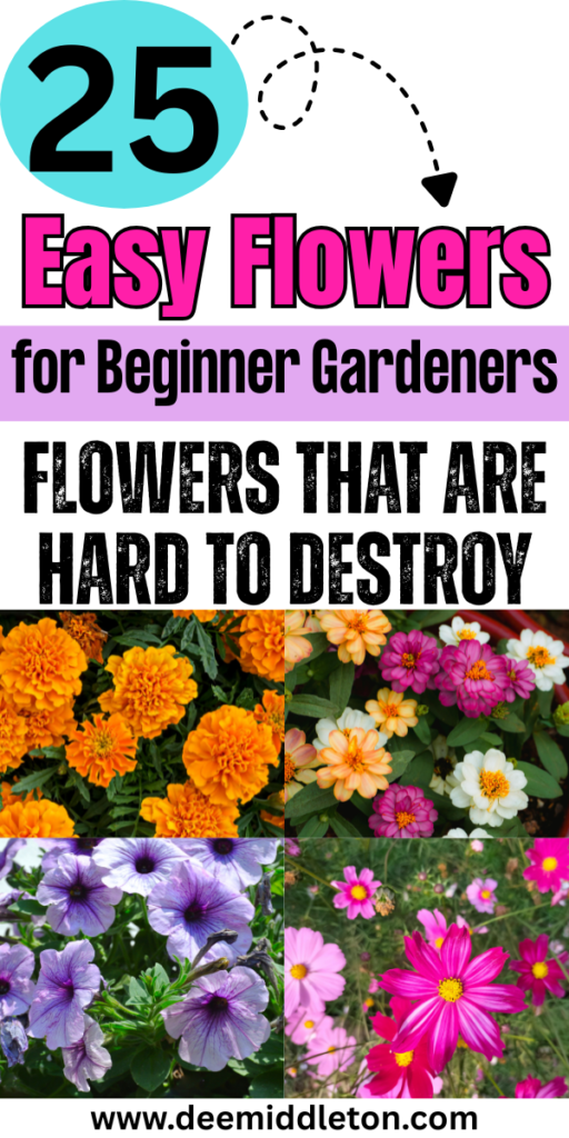 25 Easy Flowers for Beginner Gardeners - Flowers That Grow Well Easy Flowers To PlantSimple Flower Garden IdeasFlowers To Plant In GardenFlower Gardens For Beginners LandscapingFlowers For Beginners GardeningFlowers To Plant TogetherFlowers To Start IndoorsAt Home Flower Garden