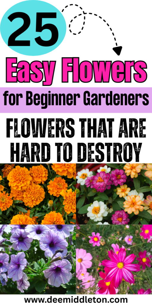 25 Easy Flowers for Beginner Gardeners - Flowers That Grow Well Easy Flowers To PlantSimple Flower Garden IdeasFlowers To Plant In GardenFlower Gardens For Beginners LandscapingFlowers For Beginners GardeningFlowers To Plant TogetherFlowers To Start IndoorsAt Home Flower Garden