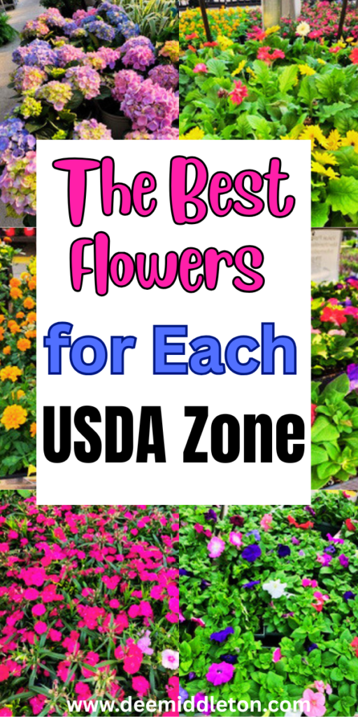 The Best Flowers for Each USDA Zone - Flower Garden LayoutsGrowing Cut FlowersCut Flower FarmPlant ZonesStock FlowerFlower GuideFlower FarmerCut Flower GardenFlower LandscapeUSDA zoneswhat to plantzones to plant