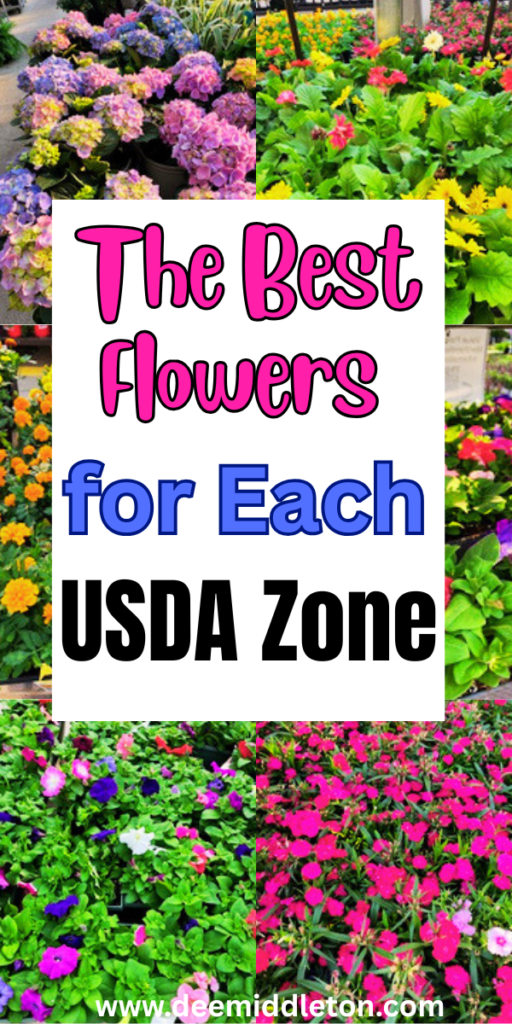 The Best Flowers for Each USDA Zone - Flower Garden LayoutsGrowing Cut FlowersCut Flower FarmPlant ZonesStock FlowerFlower GuideFlower FarmerCut Flower GardenFlower LandscapeUSDA zoneswhat to plantzones to plant