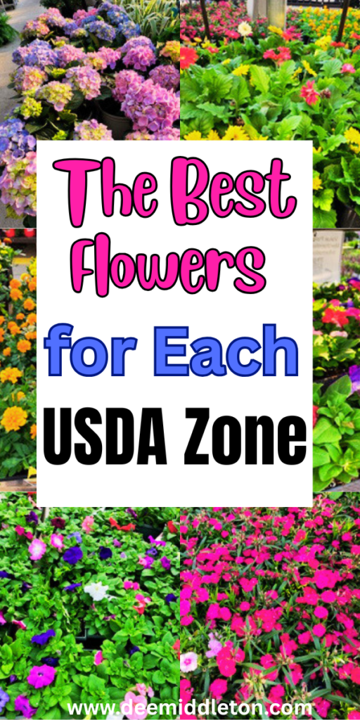 The Best Flowers for Each USDA Zone - Flower Garden LayoutsGrowing Cut FlowersCut Flower FarmPlant ZonesStock FlowerFlower GuideFlower FarmerCut Flower GardenFlower LandscapeUSDA zoneswhat to plantzones to plant