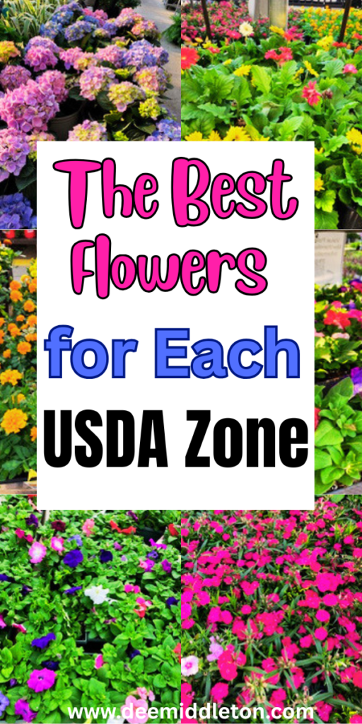 The Best Flowers for Each USDA Zone - Flower Garden LayoutsGrowing Cut FlowersCut Flower FarmPlant ZonesStock FlowerFlower GuideFlower FarmerCut Flower GardenFlower LandscapeUSDA zoneswhat to plantzones to plant