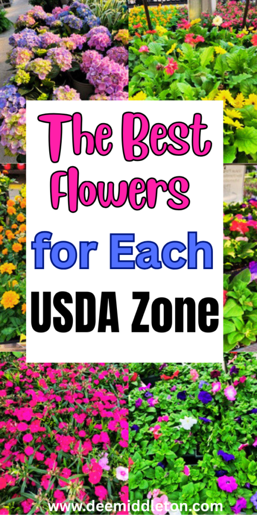 The Best Flowers for Each USDA Zone - Flower Garden LayoutsGrowing Cut FlowersCut Flower FarmPlant ZonesStock FlowerFlower GuideFlower FarmerCut Flower GardenFlower LandscapeUSDA zoneswhat to plantzones to plant