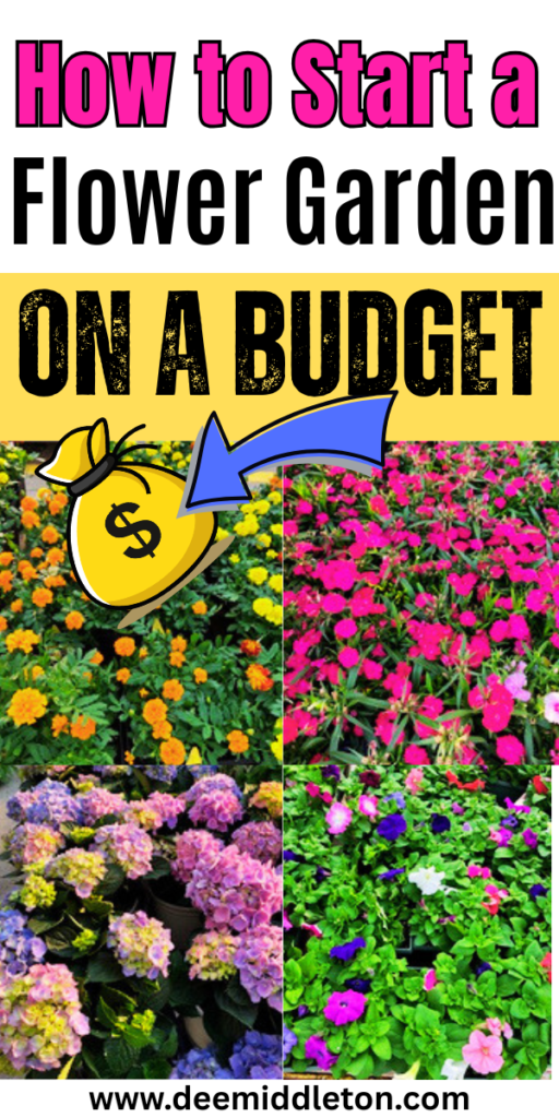 How to Start a Flower Garden on a Budget - Easy flower Garden For BeginnersBuilding A flower Garden On A BudgetHow To Start A Garden On A BudgetEasy Gardening For BeginnersCheap GardeningGardening On A BudgetGardens For BeginnersBudget-friendly Garden