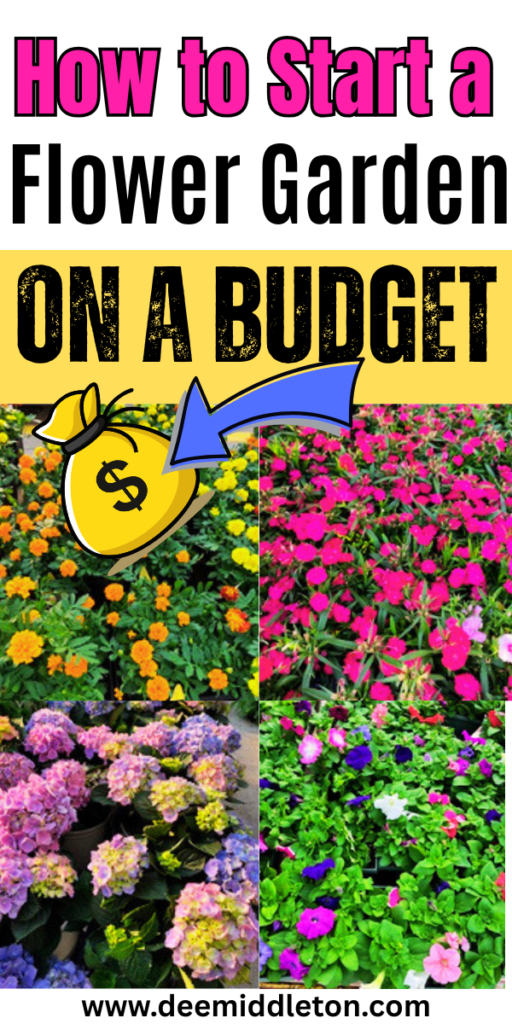 How to Start a Flower Garden on a Budget - Easy flower Garden For BeginnersBuilding A flower Garden On A BudgetHow To Start A Garden On A BudgetEasy Gardening For BeginnersCheap GardeningGardening On A BudgetGardens For BeginnersBudget-friendly Garden