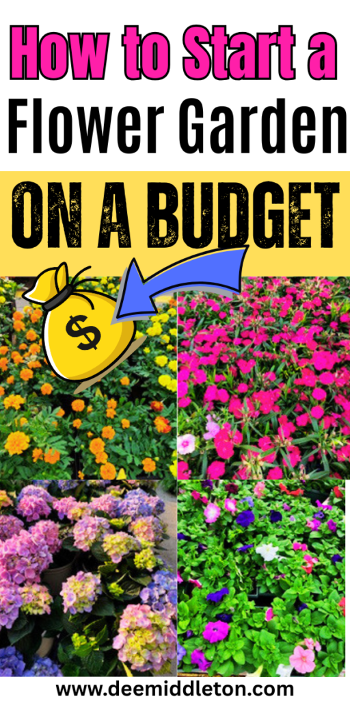 How to Start a Flower Garden on a Budget - Easy flower Garden For BeginnersBuilding A flower Garden On A BudgetHow To Start A Garden On A BudgetEasy Gardening For BeginnersCheap GardeningGardening On A BudgetGardens For BeginnersBudget-friendly Garden