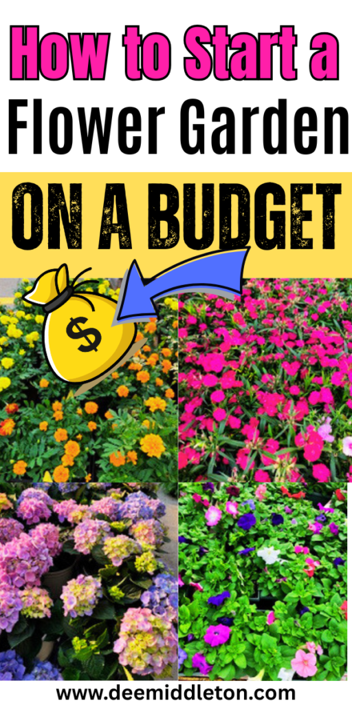 How to Start a Flower Garden on a Budget - Easy flower Garden For BeginnersBuilding A flower Garden On A BudgetHow To Start A Garden On A BudgetEasy Gardening For BeginnersCheap GardeningGardening On A BudgetGardens For BeginnersBudget-friendly Garden